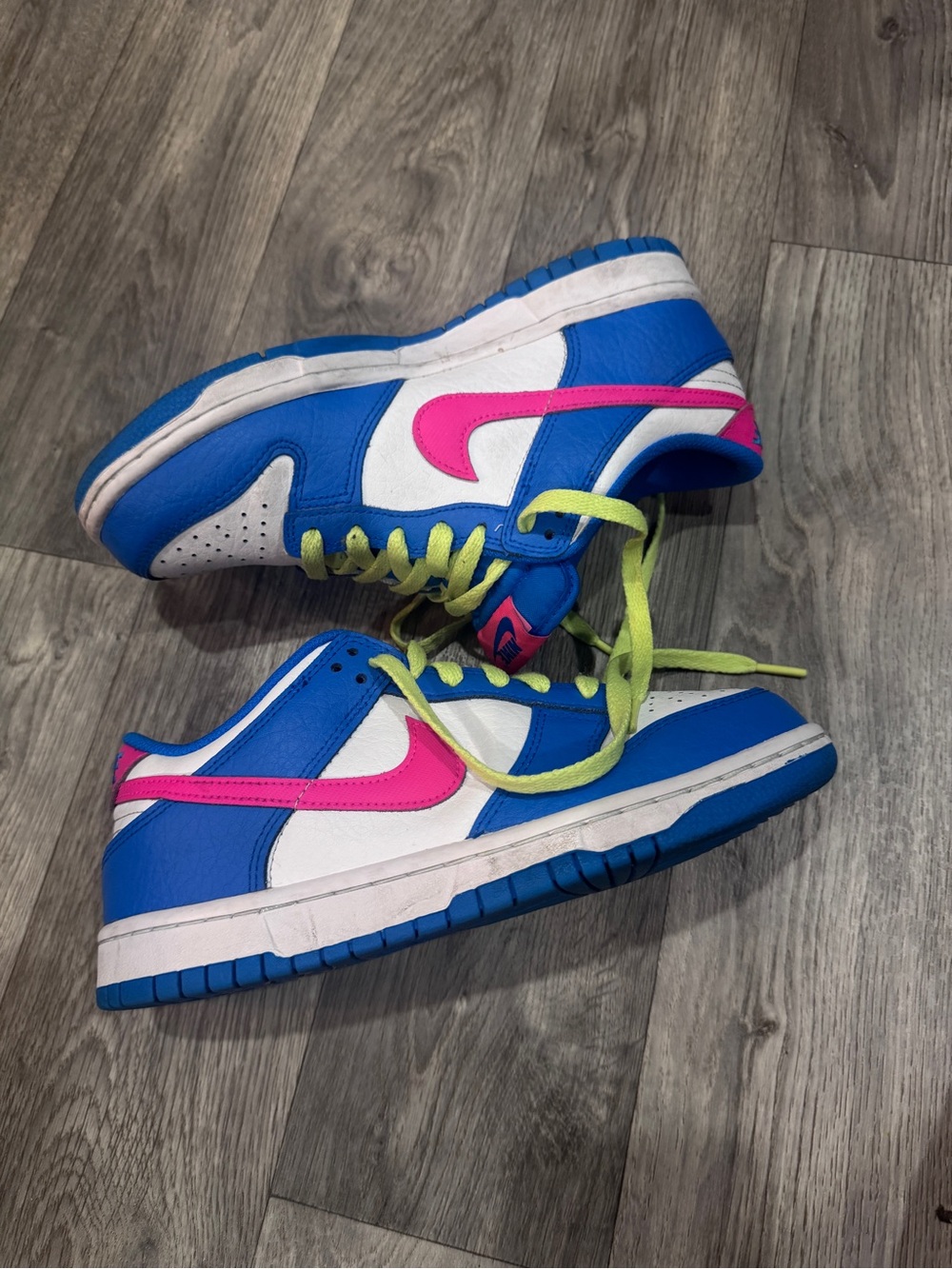 Nike Dunk Low Sneakers